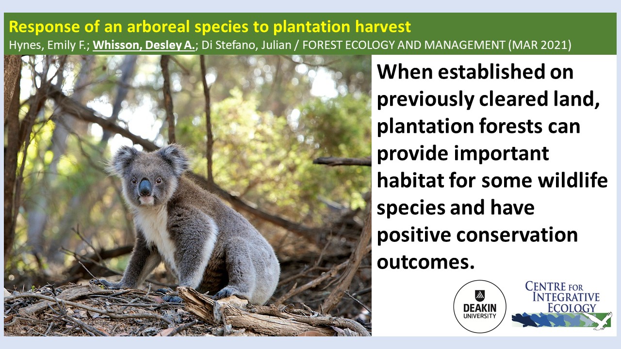 CIE Spotlight: Response of an arboreal species to plantation harvest |  Centre for Integrative Ecology